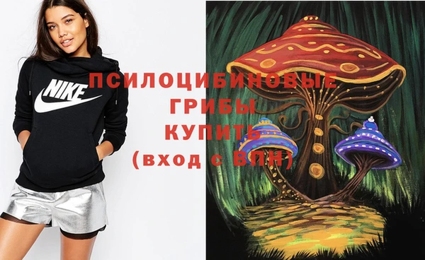 гидропоника Лихославль