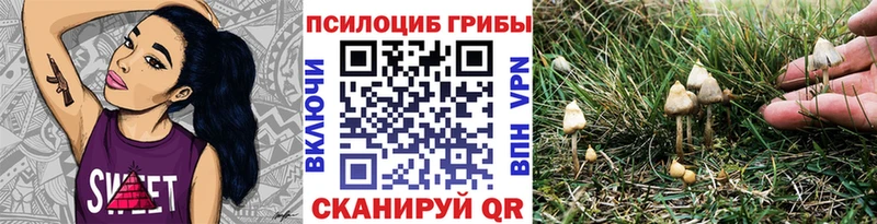 Псилоцибиновые грибы мицелий  цена наркотик  Малаховка 